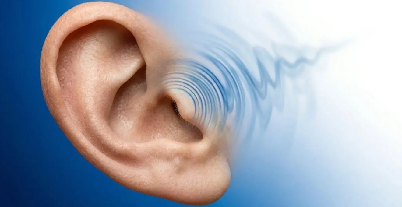 Vue macro d'une oreille humaine entourée d'ondes sonores qui s'estompent progressivement vers le silence